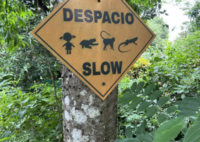 Despacio